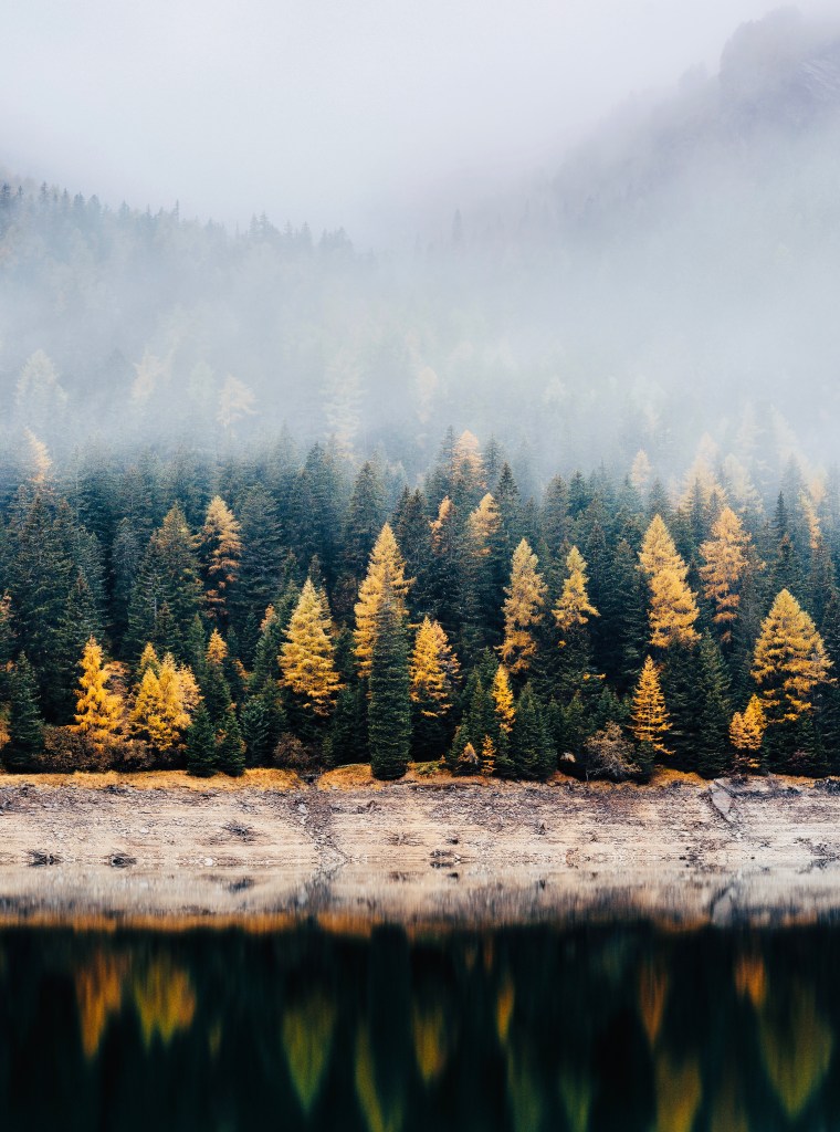 B991D718-508D-4C55-B6B8-6560ACB8E4D3